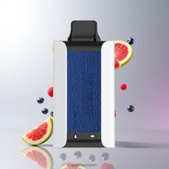 JNR BATMAN 11000 Puffs ブルーベリーラズベリー 20ml 850mAh 卸売業者 日本