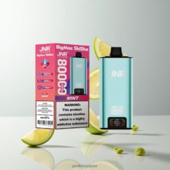 JNR Big Mac Shisha 80K究極のハイキャパシティ フーカスタイル ベイプ80,000パフ卸売業者 日本 Mint