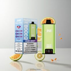 JNR Big Mac Shisha 80K究極のハイキャパシティフッカースタイルベイプ 80,000パフ & 55ml リキッド容量 卸売業者 日本