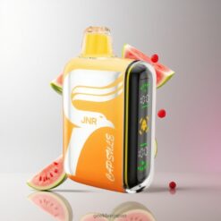 JNR Capsule 15000 Puffs デュアルメッシュコイル & 20ml 電子リキッド 使い捨てベイプ 卸売業者 日本 Watermelon Irchee