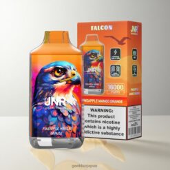 JNR Falcon 16000 Puffs ディスポーザブルベイプ 850 mAh バッテリー容量 & 22ml リキッド容量 Pineapple Mango Orange 卸売業者 日本