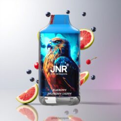 JNR Falcon 16000 Puffs ディスポーザブルベイプ 850mAh大容量バッテリー & 22ml eリキッド容量 Blueberry Raspberry Cherry 卸売業者 日本