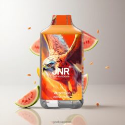 JNR Falcon 16000 Puffs ディスポーザブルヴェイプ 850mAhバッテリー & 22mlリキッド Watermelon Mango Peach 卸売業者 日本