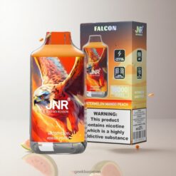JNR Falcon 16000 Puffs 卸売業者 日本 850 mAhバッテリー & 22mlリキッド容量 Disposable Vape 0% 2% Watermelon Mango Peach
