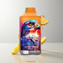 JNR Falcon 16000 Puffs 電子タバコ 850mAh大容量バッテリー＆22ml e-liquid デュアルメッシュコイル Pineapple Mango Orange 卸売業者 日本