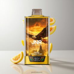 JNR Falcon Pro 28000 Disposable Vape スマートディスプレイ搭載 950mAhバッテリー容量 Mango Passion Fruit 卸売業者 日本