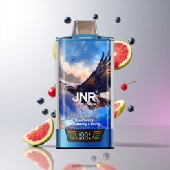 JNR Falcon Pro 28000 ディスポーザブルベイプ 30mlプリフィルド 950mAhバッテリー 卸売業者 日本 Blueberry Raspberry Cherry