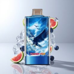 JNR Falcon Pro 28000 ディスポーザブルベイプ 30mlプレフィルド容量 & 950mAhバッテリー容量 卸売業者 日本 Blueberry Ice