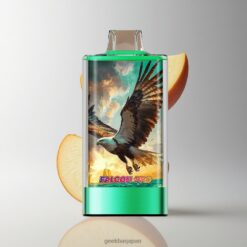 JNR Falcon Pro 28000 ディスポーザブルベイプ 30ml充填済み ダブルアップル 卸売業者 日本