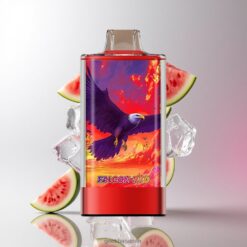 JNR Falcon Pro 28000 使い捨てベイプ 30ml プレフィルド容量 & 950mAh バッテリー容量 卸売業者 日本 Watermelon Ice