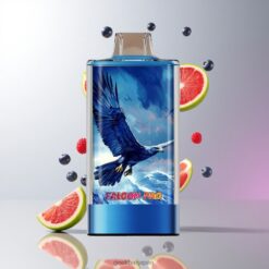 JNR Falcon Pro 28000 使い捨てベイプ 30mlプリフィルド容量 & 28000パフス Blueberry Sour Raspberry 卸売業者 日本