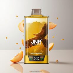 JNR Falcon Pro 28000 Puffs ディスポーザブルベイプ 30mlプレフィルド容量 & 950mAhバッテリー容量 卸売業者 日本 Juicy Peaches