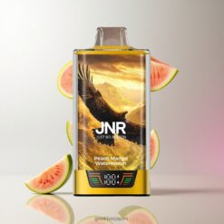 JNR Falcon Pro 28000 Puffs ディスポーザブルベイプ 30mlプレフィルド & 950mAhバッテリー 卸売業者 日本 Peach Mango Watermelon