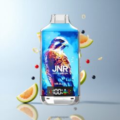 JNR Falcon X 18000 Puffs デュアルメッシュコイル & デュアルコア 24ml 750mAh タイプC急速充電 卸売業者 日本 Mr. Blue