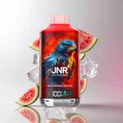 JNR Falcon X 18000 Puffs デュアルメッシュコイル & デュアルコア 750mAh バッテリー 卸売業者 日本 Watermelon Ice