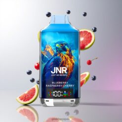 JNR Falcon X 18000 Puffs デュアルメッシュコイル & デュアルコア 24ml ブルーベリー ラズベリー チェリー 卸売業者 日本