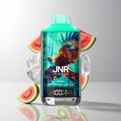 JNR Falcon X 18000 Puffs デュアルメッシュコイル & デュアルコア 24ml キウイウォーターメロンアイス 卸売業者 日本