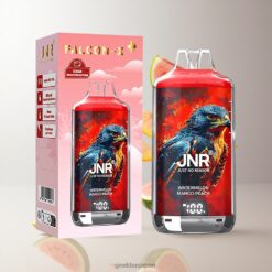JNR Falcon-X 28000 ディスポーザブルベイプ 950mAhバッテリー容量 & 1.2オームデュアルメッシュコイル Watermelon Mango Peach 卸売業者 日本