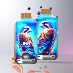 JNR Falcon-X 28000 Puffs Disposable Vape 950mAhバッテリー容量 & 1.2オームデュアルメッシュコイル 卸売業者 日本 Blueberry Raspberry Cherry