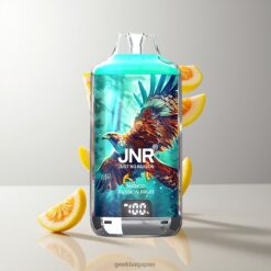 JNR Falcon-X 28000 Puffs Disposable Vape 950mAhバッテリー容量 & 1.2オームデュアルメッシュコイル 卸売業者 日本 Mango Passion Fruit