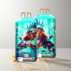 JNR Falcon-X 28000 Puffs Disposable Vape 950mAhバッテリー容量 & 1.2オームデュアルメッシュコイル 卸売業者 日本 Mango Passion Fruit