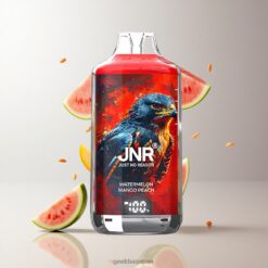 JNR Falcon-X 28000 Puffs ディスポーザブルベイプ 950mAh バッテリー容量 & バッテリー＆リキッドディスプレイ 卸売業者 日本 Watermelon Mango Peach