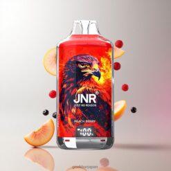 JNR Falcon-X 28000 Puffs ディスポーザブルベイプ 950mAhバッテリー容量 & 1.2オームデュアルメッシュコイル Peach Berry 卸売業者 日本
