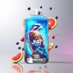 JNR Falcon-X 28000 Puffs 使い捨べイプ 950mAh バッテリー容量 & 2% ニコチン コンテンツ Blueberry Raspberry Cherry 卸売業者 日本