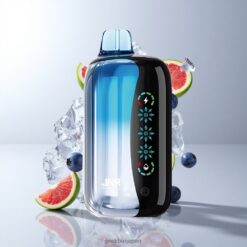 JNR Flex Ice 21000 Puffs Disposable Vape ブルーベリーアイス 26ml E-liquid 1000mAhバッテリー容量 卸売業者 日本
