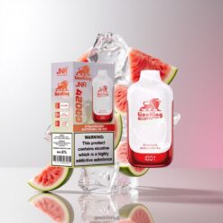JNR LionKing 42000 スマートLEDディスプレイ搭載 42ml大容量 卸売業者 日本 Strawberry Watermelon Ice