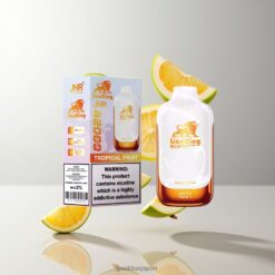 JNR LionKing 42000 デュアルメッシュコイル搭載 最大42,000パフ 卸売業者 日本 Tropical Fruit
