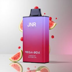JNR Mega Box 25000 Puffs Disposable Vape 30ml E-liquid Capacity ラズベリーウォーターメロン 卸売業者 日本