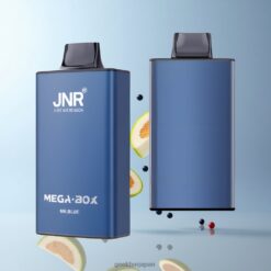 JNR Mega Box 25000 Puffs Disposable Vape 30ml E-liquid容量 & 850mAhバッテリー容量 with Mr. Blue 卸売業者 日本