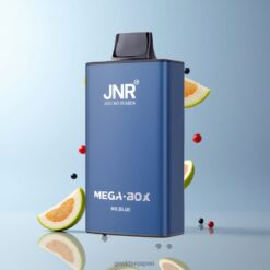 JNR Mega Box 25000 Puffs Disposable Vape 30ml E-liquid容量 & 850mAhバッテリー容量 with Mr. Blue 卸売業者 日本
