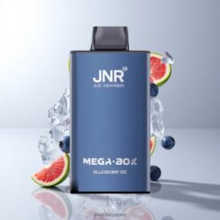 JNR Mega Box 25000 Puffs Disposable Vape ブルーリーアイス 30ml容量 850mAhバッテリー 卸売業者 日本