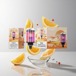 JNR Mega Shisha Hookah Desktop Compatibility 100000パフ 60ml e-Liquid Capacity 2200mAh 充電式バッテリー 卸売業者 日本 Lady Killa