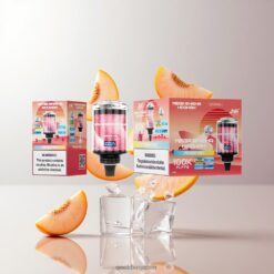 JNR Mega Shisha Hookah Desktop Compatibility 100000パフ Peach Ice 60ml e-Liquid Capacity 2% strength 卸売業者 日本