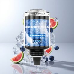 JNR Mega Shisha Hookah Desktop Compatibility ブルーベリーアイス 100000パフ 60ml eリキッド容量 2200mAh 充電式バッテリー 卸売業者 日本