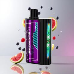 JNR Radiance 31000 Puffs Disposable Vape ブルーベリーサワーラズベリー 28ml E-liquid 950mAh充電式バッテリー 卸売業者 日本