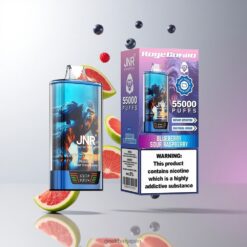 JNR RageGorilla 55000 充電式デバイス 42mlプレフィルド 卸売業者 日本