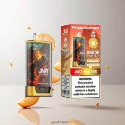 JNR RageGorilla 55000 強力な950mAhバッテリー搭載 使い捨てベイプ 卸売業者 日本
