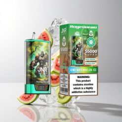 JNR RageGorilla 55000 最大55000パフ デュアルメッシュコイル搭載 卸売業者 日本 Kiwi Watermelon Ice