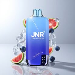 JNR Rainbow 10500 Puffs Disposable Vape ブルーベリーアイス 600mAhバッテリー容量 卸売業者 日本