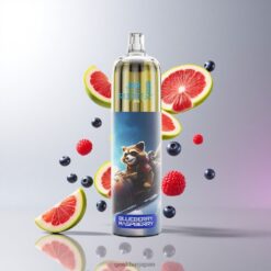 JNR Rocket-X 12400 Puffs Disposable Vape 調整可能なエアフロー & 850mAhバッテリー容量 Blueberry Raspberry 卸売業者 日本