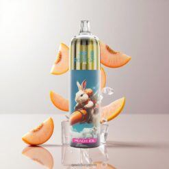 JNR Rocket-X 12400 Puffs Disposable Vape 調整可能な気流 850mAhバッテリー容量 Peach Ice 卸売業者 日本