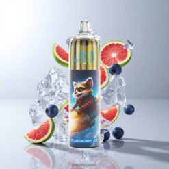 JNR Rocket-X 12400 Puffs Disposable Vape 調整可能な気流 & RGBライト ブルーベリーアイス 卸売業者 日本