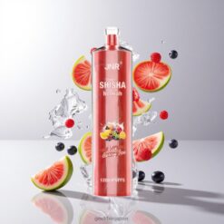 JNR Shisha Hookah 12000 Puffs 24ml ベリーアイス ディスポーザブルベイプ 卸売業者 日本