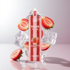 JNR Shisha Hookah 12000 Puffs 24ml大容量 750mAhバッテリー 使い捨てベイプ Strawberry Ice 卸売業者 日本