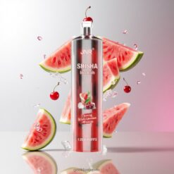 JNR Shisha Hookah 12000 Puffs チェリーウォーターメロンフリーズ 24ml 750mAh 卸売業者 日本