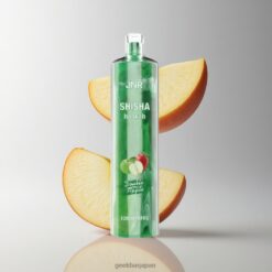 JNR Shisha Hookah 12000 Puffs 使い捨てベイプ 24ml 大容量 ダブルアップル 卸売業者 日本